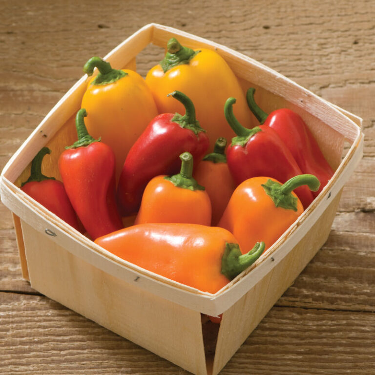 03515g_01_lunchboxpeppersmix