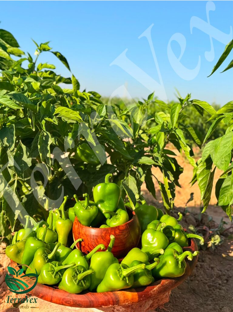 green kardula pepper